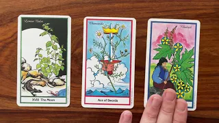 Choose your own adventure 18 July 2022 Your Daily Tarot Reading with Gregory Scott