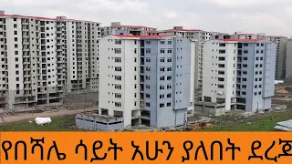 የበሻሌ ሳይት አሁን ያለበት ደረጃ