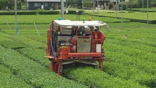 Japanese Robotic Tea Harvester