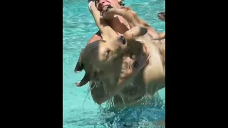 Shawn Mendes playing with his dog Tarzan in pool