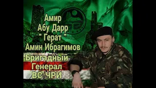 Эфир в честь Бригадного Генерала ВС ЧРИ Абу-Дарра «Герат» (Амин Ибрагимов)