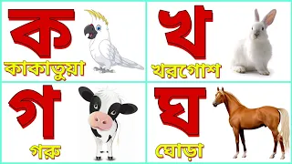 ka kha ga gha [ক খ গ ঘ] Bangla alphabet learning || কখগঘ বাংলা ব্যঞ্জনবর্ণ for kids || Hater Lekha