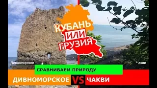 Кубань VS Грузия!  Сравниваем природу. Дивноморское и Чакви