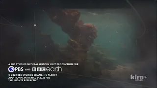 BBC Studios Natural History Unit/PBS/BBC Earth (2022)