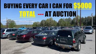 How Many Cars Can I Buy With $5,000 At Auction??