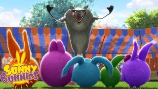 SUNNY BUNNIES COMPILATIONS - THE WOLF | Cartoons for Kids