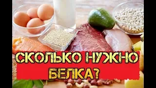 Как набрать норму Белка в день