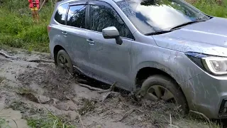 Octavia Scout & Subaru Forester off-road