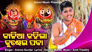 Kalia Kahila Kundhei Paka - Full Video Version 2020-Chandan-Pakun-Avina Sundar-Sasmal Manas-Amit