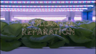 Ecological Reparation: Resonant Earth