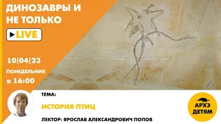 Занятие "История птиц" кружка "Динозавры и не только" с Ярославом Поповым