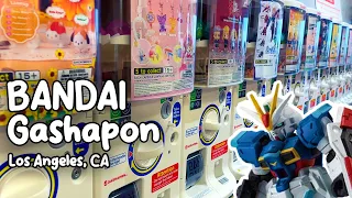 BANDAI GASHAPON Official Store | Los Angeles, CA | Gacha Capsule Toys Anime, Sanrio & Gundam Figures