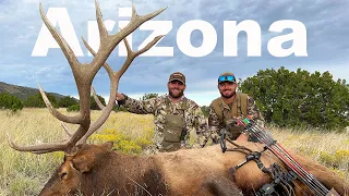 An ARIZONA ELK HUNT {Catch Clean Cook} Ben Sandall's ARCHERY Bull