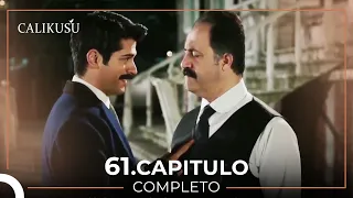 Calikusu 61 Capítulo