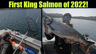 First King Salmon of 2022! Alaskan King Salmon Fishing - Juneau, Alaska! JUNE 2022