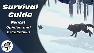 Feats and Badges! | How To Survive The Long Dark