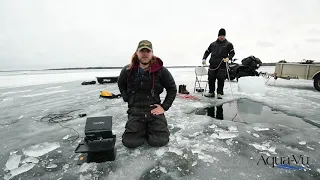 Insane Underwater Burbot (Eelpout) Spawning Behavior Caught on Camera