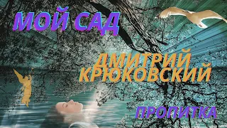 Пророческая пропитка/Мой сад/Дмитрий Крюковский  💙