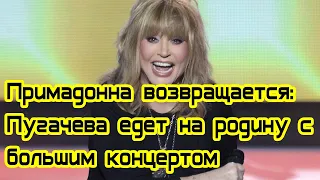 Примадонна возвращается: Пугачева едет на родину с большим концертом