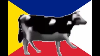 INTERSLAVIC COW - MEDŽUSLOVJANSKA KRÅVA - МЕДЖУСЛОВЈАНСКА КРӐВА