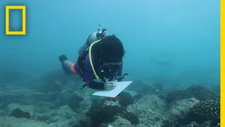 Saving Ocean Biodiversity: Coral Restoration | Explorers in the Field