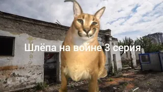 шлёпа на войне 3 серия