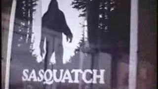 Sasquatch