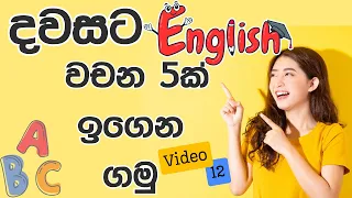 #englishvocabulary  English Vocabulary Lesson 12 / Learn 05 English Words Per Day