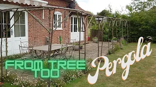 From TREE to PERGOLA: Making a RUSTIC pergola from Hazel Pea Sticks