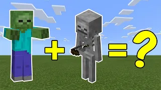 I Combined a Zombie and a Skeleton in Minecraft - Here's What Happened...
