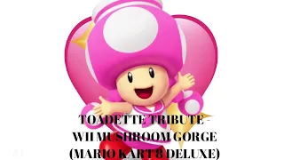 Toadette Tribute - Wii Mushroom Gorge (MK8D)