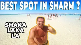 Excursion to WHITE ISLAND -  Boat Trip Ras Mohamed - Top Things to do in Sharm el Sheikh, Egypt 🏝️