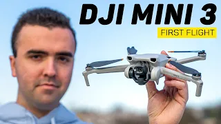 DJI Mini 3 First Full Flight & Impressions