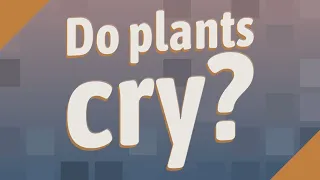 Do plants cry?