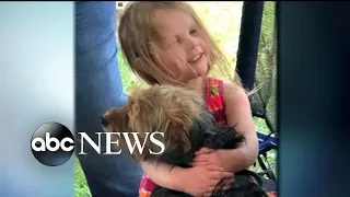 3-year-old missing girl rescued by family dog