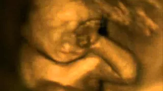 Scuola di Psicoterapia: movimenti del bambino nella pancia della madre (gravidanza)