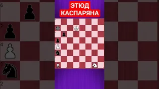 💥НЕ ЧИСЛОМ А УМЕНИЕМ - HARD #chesspuzzle #шахматныезадачи #шахматы #chess