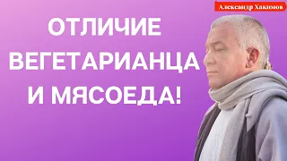 Отличие ВЕГЕТАРИАНЦА от МЯСОЕДА! А.Хакимов