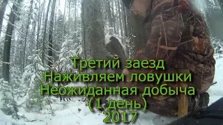 Третий заезд Наживляем ловушки Неожиданная добыча  (1 день) 2017