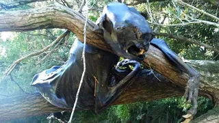 10 Creepiest Things Found Deep In The Woods