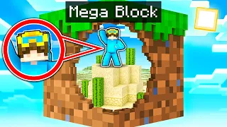 Minecraft But We’re On ONE MEGA BLOCK!