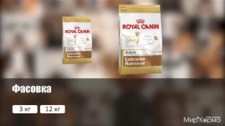 Обзор корма Royal Canin Labrador Retriever Adult