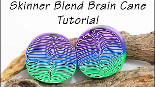 Polymer Clay Cane: Skinner Blend Brain Cane Tutorial