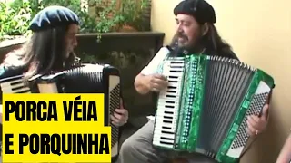 PORCA VÉIA E PORQUINHA TOCANDO JUNTOS