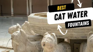 TOP 5 BEST CAT WATER FOUNTAINS 2024
