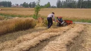 Wheat harvester for small farms