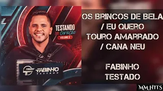 OS BRINCOS DE BELA / EU QUERO TOURO AMARRADO / CANA NEU - Fabinho Testado (Áudio Oficial)