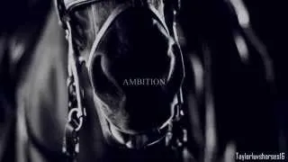 Equestrians - In Pursuit of Perfection