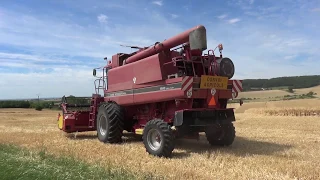 Oogsttijd / Temps de récolte