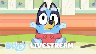 🔴LIVE: BLUEY FULL EPISODES LIVESTREAM